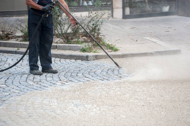 Best Patio and Deck Pressure Washing  in Waianae, HI